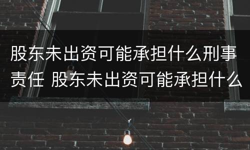 股东未出资可能承担什么刑事责任 股东未出资可能承担什么刑事责任呢