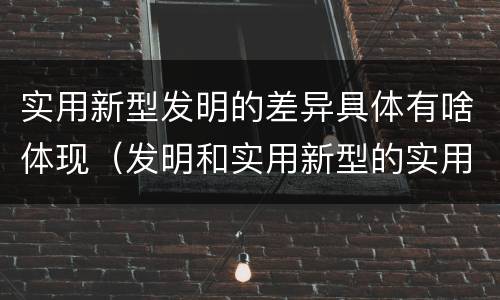 实用新型发明的差异具体有啥体现（发明和实用新型的实用性）
