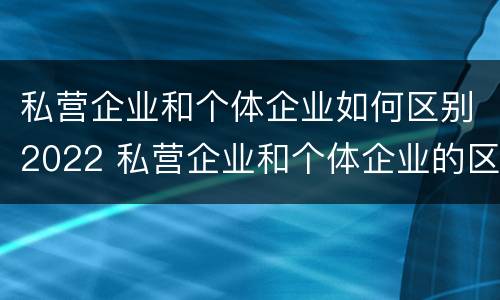 私营企业和个体企业如何区别2022 私营企业和个体企业的区别