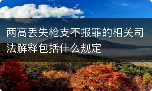 两高丢失枪支不报罪的相关司法解释包括什么规定