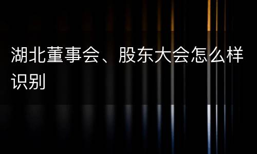 湖北董事会、股东大会怎么样识别
