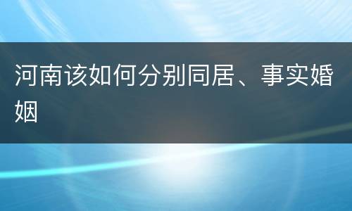 河南该如何分别同居、事实婚姻
