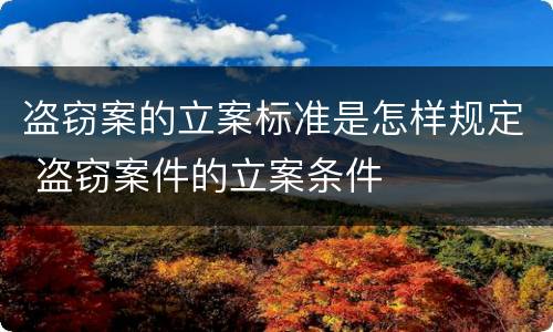 盗窃案的立案标准是怎样规定 盗窃案件的立案条件