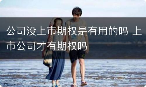 公司没上市期权是有用的吗 上市公司才有期权吗
