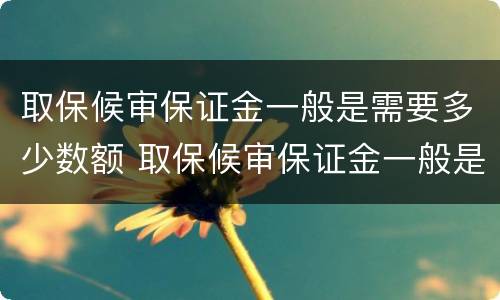 取保候审保证金一般是需要多少数额 取保候审保证金一般是需要多少数额才能退
