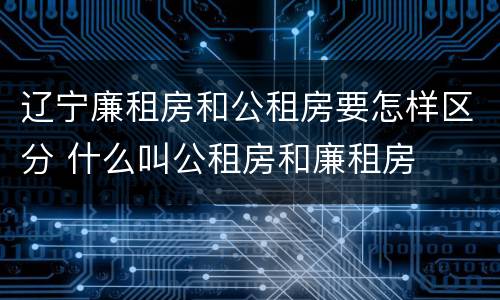 辽宁廉租房和公租房要怎样区分 什么叫公租房和廉租房