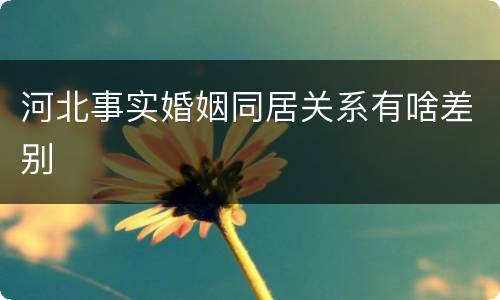 河北事实婚姻同居关系有啥差别
