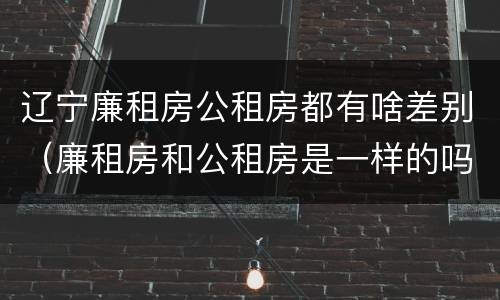 辽宁廉租房公租房都有啥差别（廉租房和公租房是一样的吗）