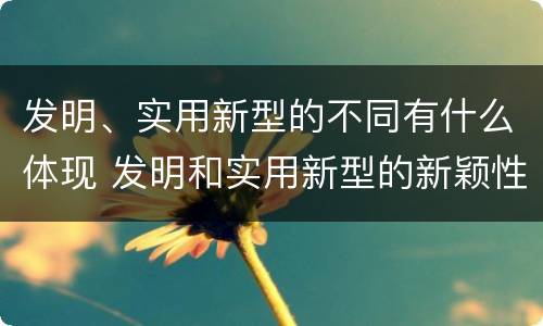 发明、实用新型的不同有什么体现 发明和实用新型的新颖性