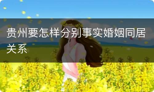 贵州要怎样分别事实婚姻同居关系