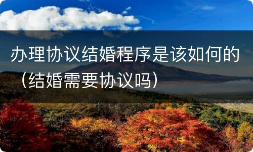 办理协议结婚程序是该如何的（结婚需要协议吗）