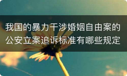 我国的暴力干涉婚姻自由案的公安立案追诉标准有哪些规定