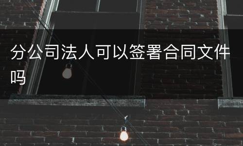 分公司法人可以签署合同文件吗