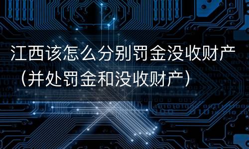 江西该怎么分别罚金没收财产（并处罚金和没收财产）