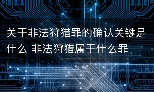 关于非法狩猎罪的确认关键是什么 非法狩猎属于什么罪