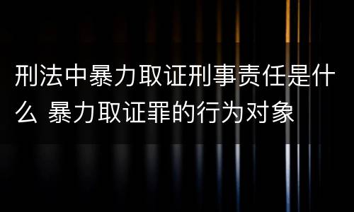 刑法中暴力取证刑事责任是什么 暴力取证罪的行为对象