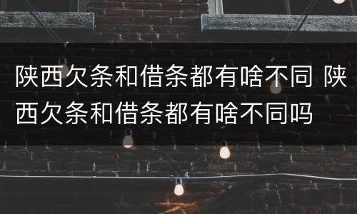 陕西欠条和借条都有啥不同 陕西欠条和借条都有啥不同吗