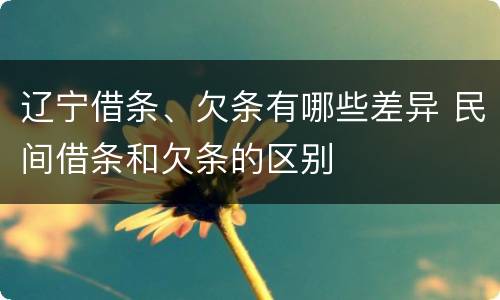 辽宁借条、欠条有哪些差异 民间借条和欠条的区别