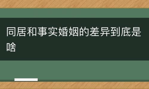 同居和事实婚姻的差异到底是啥