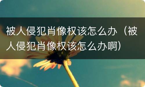被人侵犯肖像权该怎么办（被人侵犯肖像权该怎么办啊）