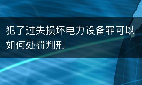 犯了过失损坏电力设备罪可以如何处罚判刑