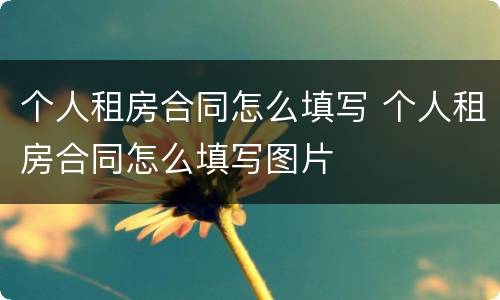 个人租房合同怎么填写 个人租房合同怎么填写图片