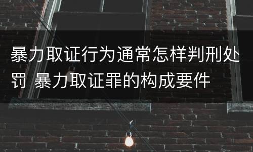 暴力取证行为通常怎样判刑处罚 暴力取证罪的构成要件