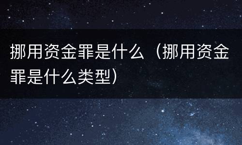 挪用资金罪是什么（挪用资金罪是什么类型）