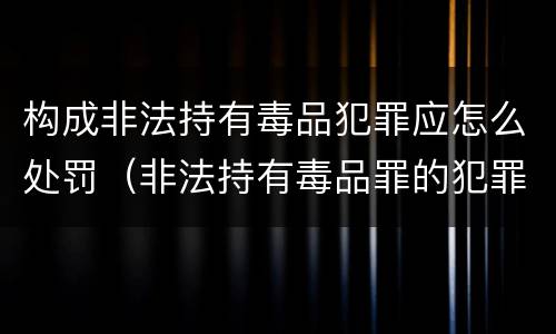 构成非法持有毒品犯罪应怎么处罚（非法持有毒品罪的犯罪构成）