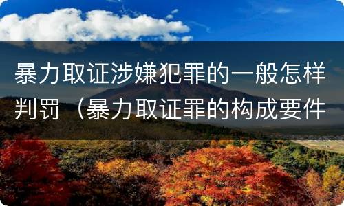 暴力取证涉嫌犯罪的一般怎样判罚（暴力取证罪的构成要件）