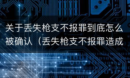 关于丢失枪支不报罪到底怎么被确认（丢失枪支不报罪造成严重后果）