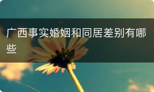 广西事实婚姻和同居差别有哪些