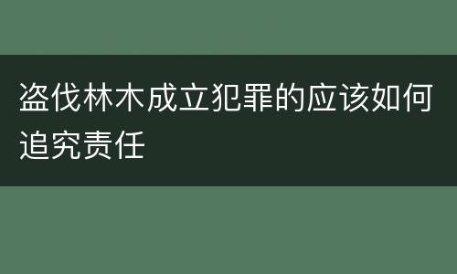 盗伐林木成立犯罪的应该如何追究责任