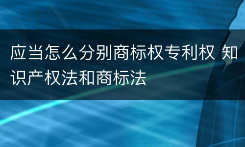 应当怎么分别商标权专利权 知识产权法和商标法