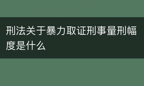 刑法关于暴力取证刑事量刑幅度是什么