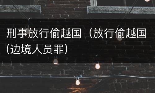 刑事放行偷越国（放行偷越国(边境人员罪）