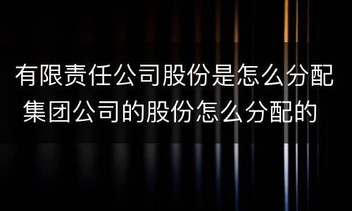 有限责任公司股份是怎么分配 集团公司的股份怎么分配的