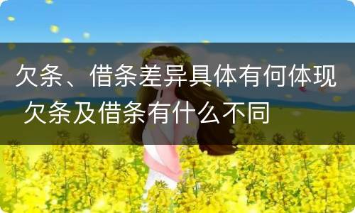 欠条、借条差异具体有何体现 欠条及借条有什么不同