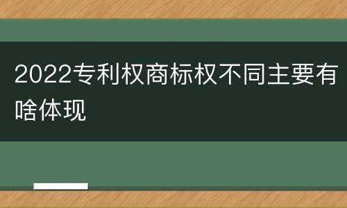 2022专利权商标权不同主要有啥体现