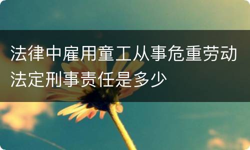 法律中雇用童工从事危重劳动法定刑事责任是多少