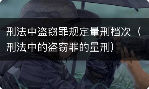 刑法中盗窃罪规定量刑档次（刑法中的盗窃罪的量刑）