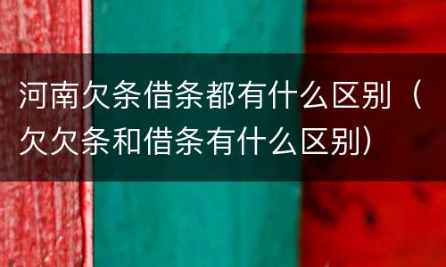 河南欠条借条都有什么区别（欠欠条和借条有什么区别）