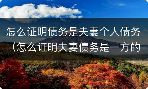 怎么证明债务是夫妻个人债务（怎么证明夫妻债务是一方的债务）