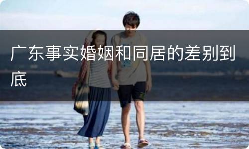 广东事实婚姻和同居的差别到底