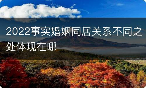 2022事实婚姻同居关系不同之处体现在哪
