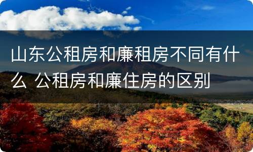 山东公租房和廉租房不同有什么 公租房和廉住房的区别