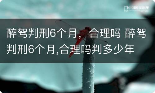 醉驾判刑6个月，合理吗 醉驾判刑6个月,合理吗判多少年