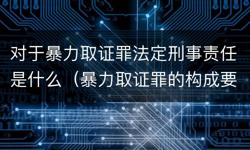 对于暴力取证罪法定刑事责任是什么（暴力取证罪的构成要件）