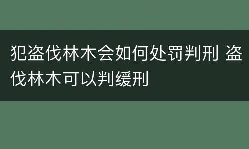 犯盗伐林木会如何处罚判刑 盗伐林木可以判缓刑