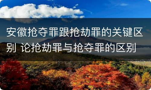 安徽抢夺罪跟抢劫罪的关键区别 论抢劫罪与抢夺罪的区别